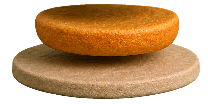 Burger Layer Bottom