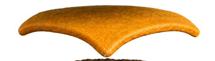 Burger Layer Cheese
